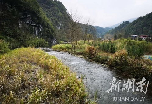 东安舜皇大峡谷生态旅游项目签约，生态与文旅融合再启新篇