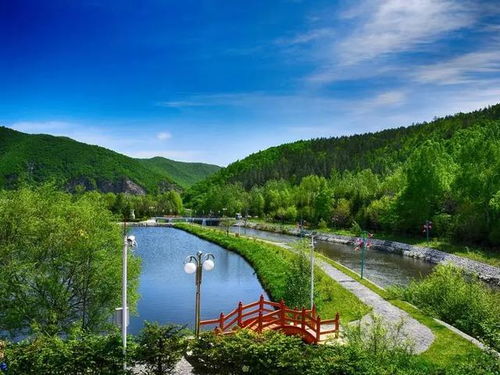 炎热酷暑，快到森林里清凉一下吧——揭秘森林旅游项目的开发之道
