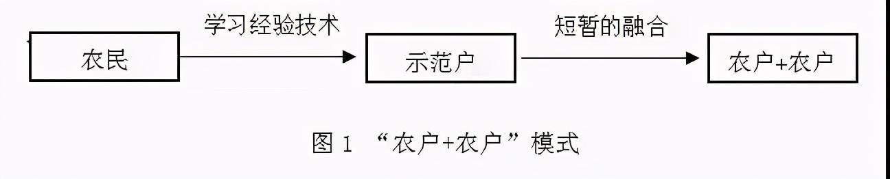 从规划到引爆 乡村旅游项目开发方案与营销策略全解析